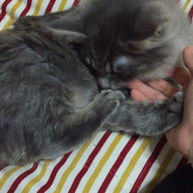 バージョンアップの画像