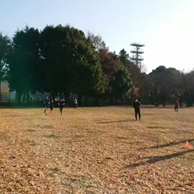 航空公園練習 1000m ３組目③の画像