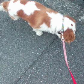 今日の武さんの画像