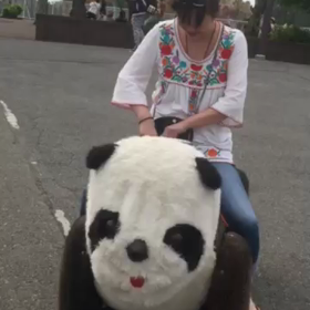 生駒山上遊園地の画像