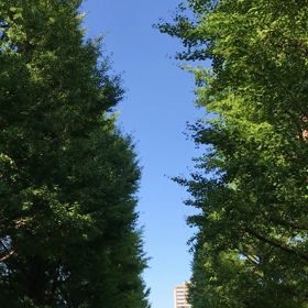 雑俳一句 2017.07.31.の画像