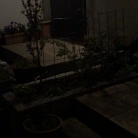 何の音？　⚠️音声にご注意ください⚠️の画像