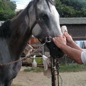 まだまだ暑いですねの画像