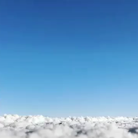 ジソの動画の画像