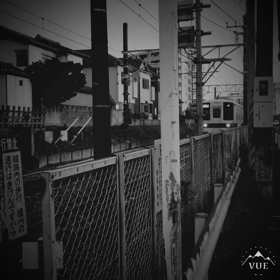 No.186    外への一歩の画像