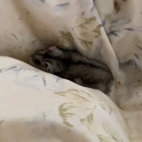 久しぶりにの画像