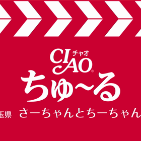 ﾁｭ~ﾙﾒｰｶｰ(=^・^=)の画像