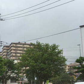 桐生のごとき荒梅雨の画像