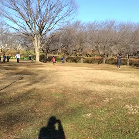 1/6 クロカンダッシュ④の画像