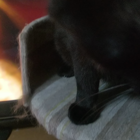 いい 食べっぷり(*^^*)の画像