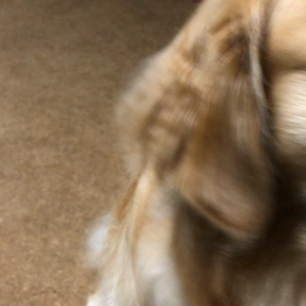 おかぁしゃんのこと と  鼻パクの画像