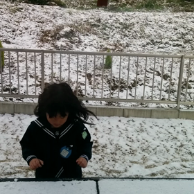 雪の日..その2の画像