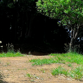 体幹、コアにも！イナーシャーウェーブの画像