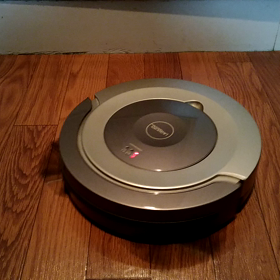 頑張り屋さんな子٩(●˙▽˙●)۶の画像