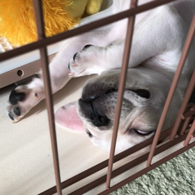 アイーン！の画像