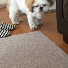 まさかのの画像