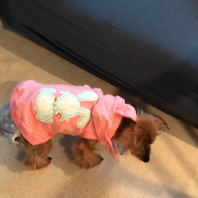 スローモーション⁈の画像