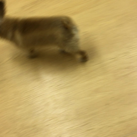 嬉しいぞ。の画像