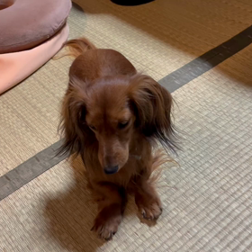 投稿が出来てませんでしたの画像