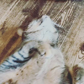 7/1生まれのあなたへの画像