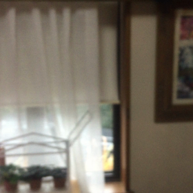 新社会人のイケメン兄弟の画像