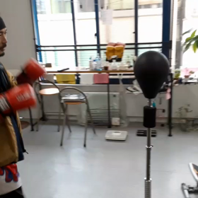 スタンディングボクシングボールの画像