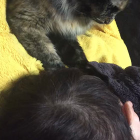 春の憂いの画像