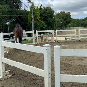 楽しみ方色々の画像