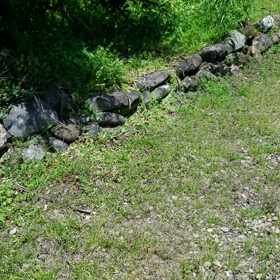 うぐいすの画像