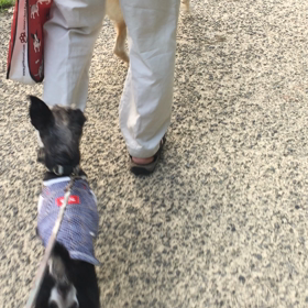 複雑なココロの画像