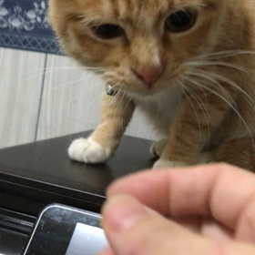 24日面会予約の子の画像