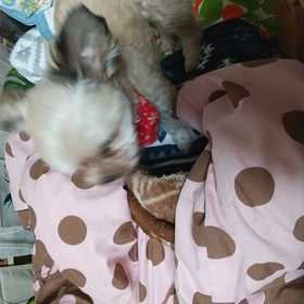 愚痴ったけどの画像