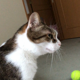 昨日の事件から1夜開け…寝不足に寝不足の画像