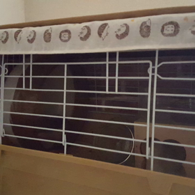 すなお爆走中(追記あり)の画像