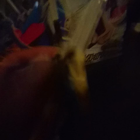 ナイトオブサファリ！音声確認！の画像