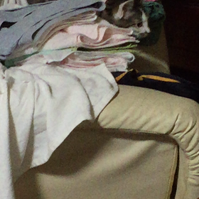 静かなケンカの画像