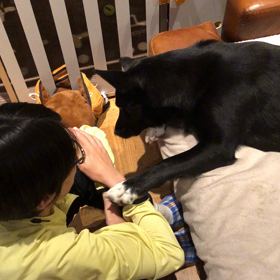 甘えん坊ノアさんの画像