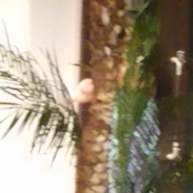 ②台風の中…夏休み(おまけ)の画像