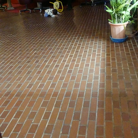 夜なのにの画像