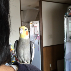 みきおとセッション♬の画像