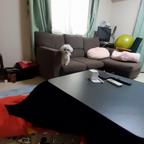 野生味満点⁉️の画像