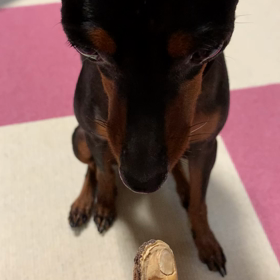 いじわるたえさん。の画像