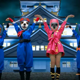 Dancing！？の画像