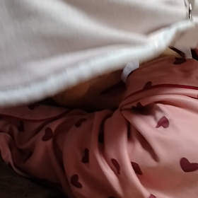 お昼からの画像