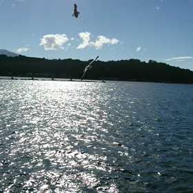 クイズの正解は…☆の画像