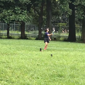 ジャベリックボール練習⑦の画像