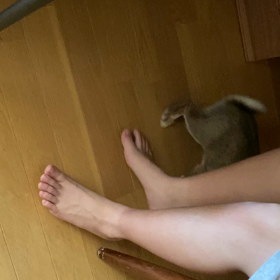 フニちゃんの必殺技の画像