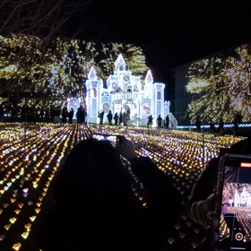 あしかがフラワーパーク MOVIE②の画像