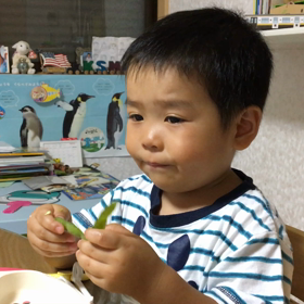 作家 デビューの画像