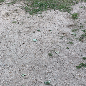 まっくろくろすけの画像